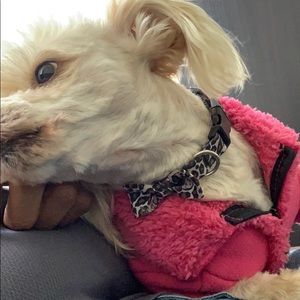 Meet your Posher, Juan